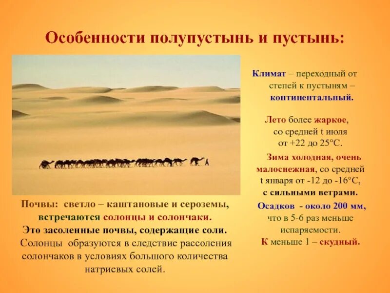 Тип климата в пустыне