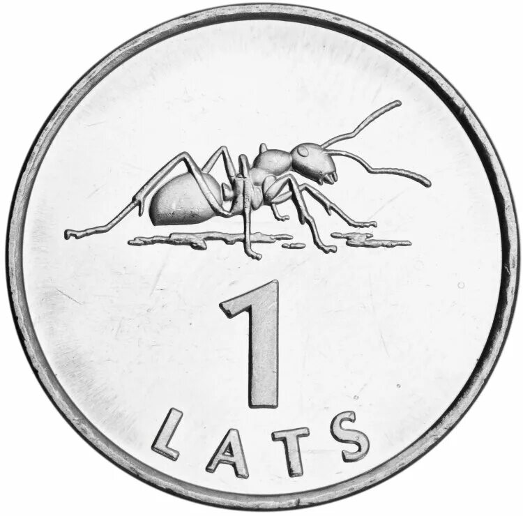 5 новозеландских долларов. руанда 2021 седов серебряная монета. Australia´s bull ant coin. латвия 1 лат 2003 муравей unc. монетка на муравей.