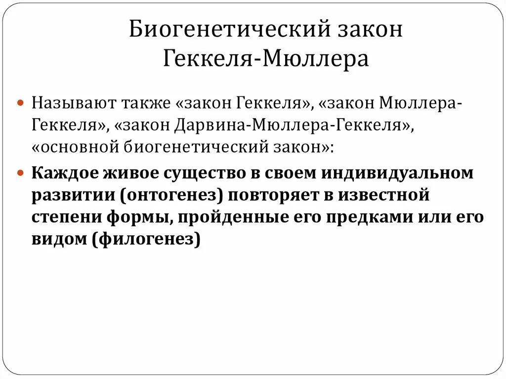 Филогенез геккеля. Биогенетический закон Геккеля Мюллера. Биогенетический закон. Основной биогенетический закон Геккеля. Зак4он Мюллера Геккеля.