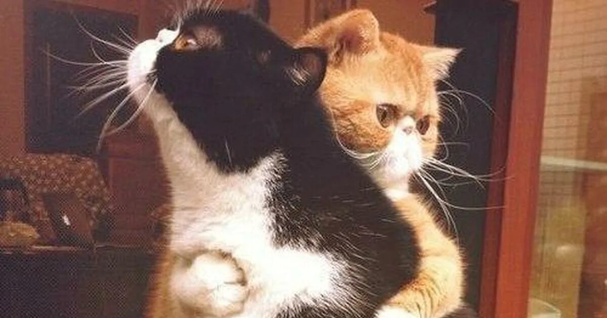 Апути непутю. Опути непутю. Опути не опутю. Опути непутю. Опути непутю.