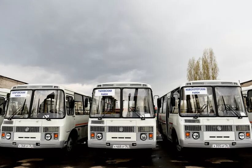 Omsk region - Bus depots - Photo - Bus Transport