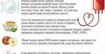 Свекла перед сдачей анализа мочи