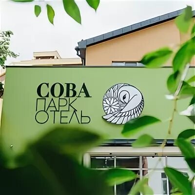 Сова на белом фоне. Сова рязань гостиница. Николодворянская 16 рязань. Белая сова рязань. Николодворянская 18 рязань.