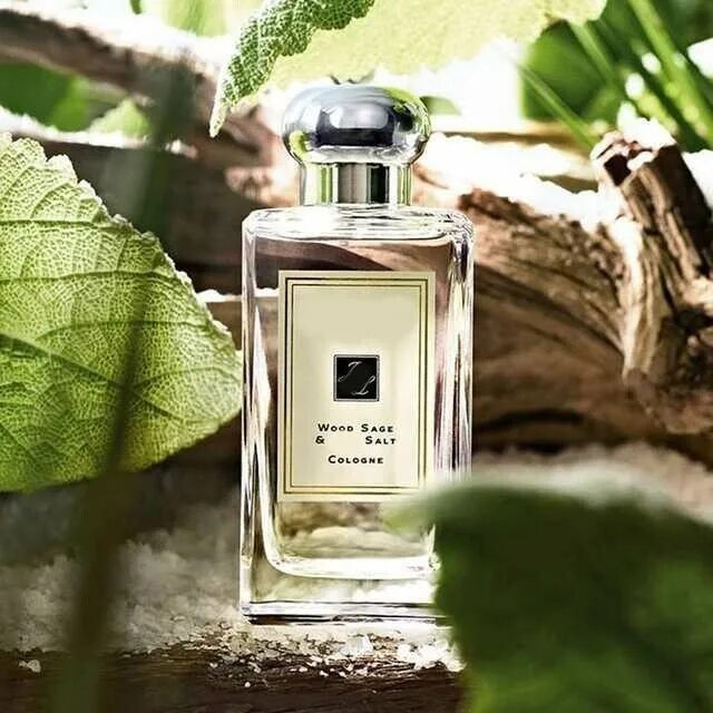 Туалетная вода морской. Jo Malone Wood Sage & Sea Salt Cologne, 100 ml. Jo Malone Wood Sage Sea Salt 100ml. Jo Malone духи Wood Sage Sea Salt. Jo Malone London Wood Sage & Sea Salt Cologne.