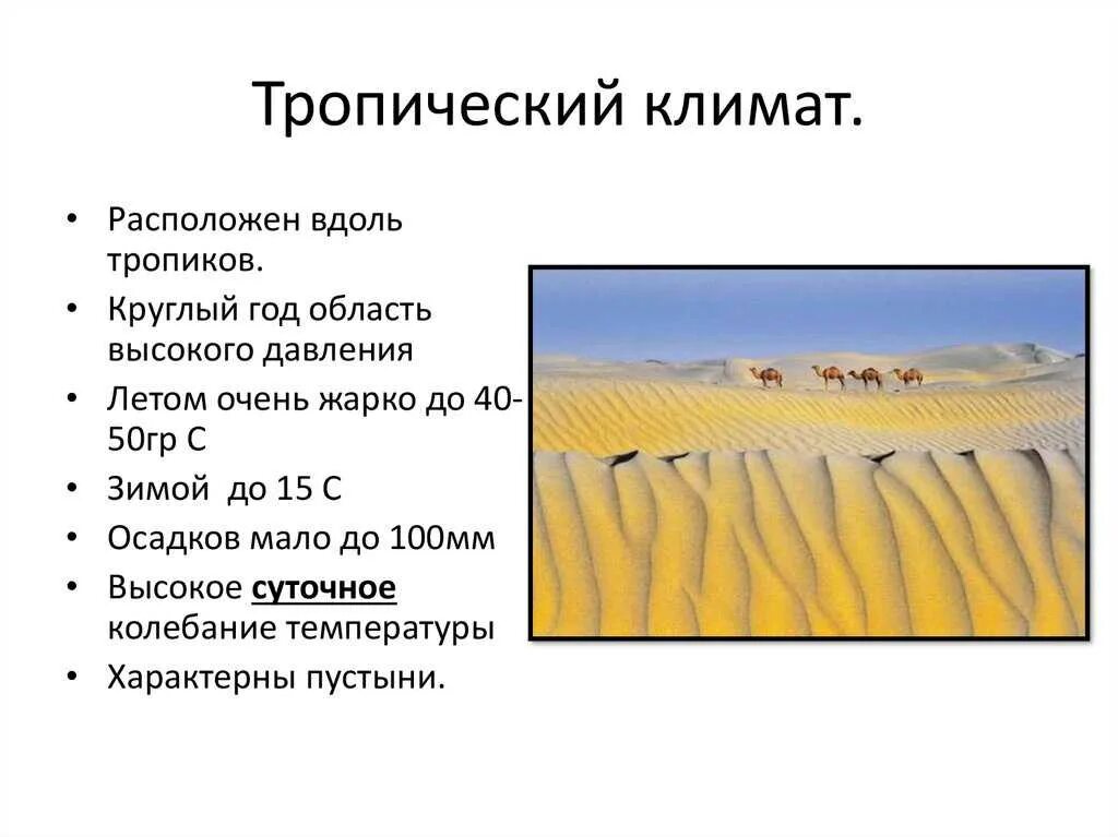 Средняя температура в тропическом поясе. Средняя температура в тропическом поясе. Тропический пустынный климат. Тропический климат характеристика. Мыс дебунджа пояс.