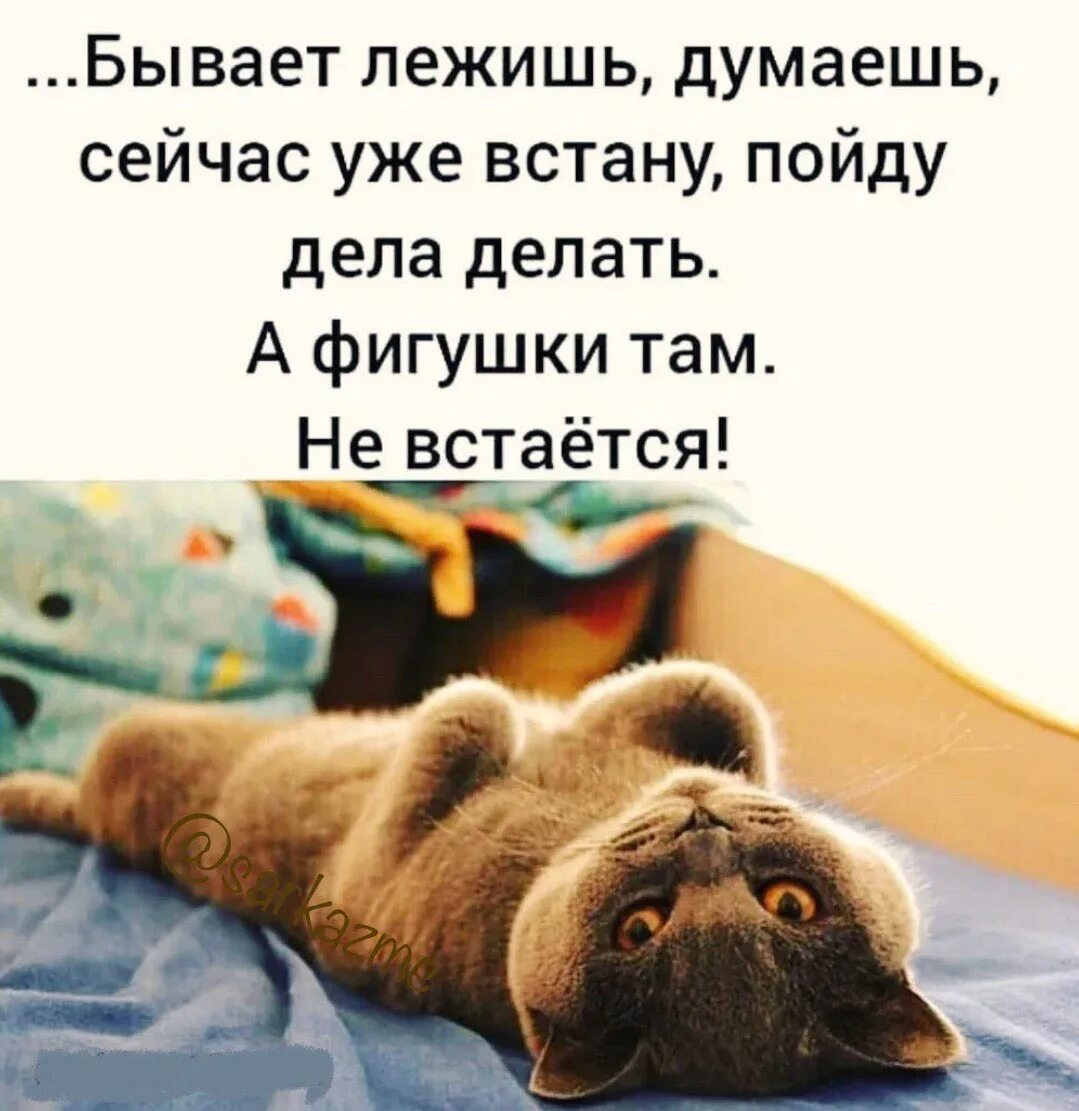 Сижу и думаю пойти. Лежит и думает. вот лежу и думаю. лежу и думаю цитаты. вот бывает лежишь думаешь сейчас уже встану пойду.