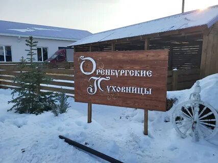 Эко оренбург