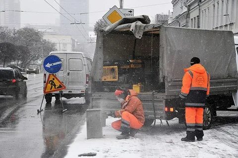 Снег ломает деревья