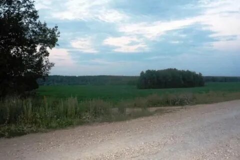 Погода в медыне