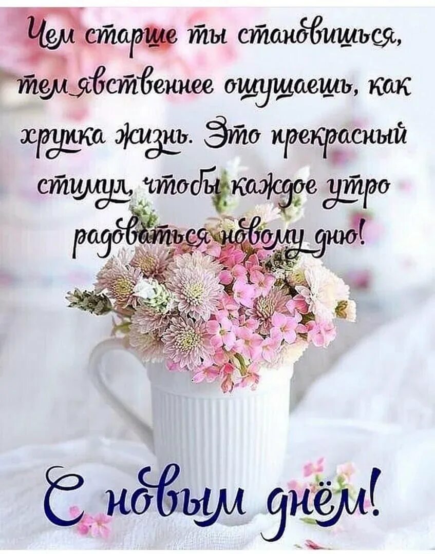 Цитаты пожелания доброго дня. Необычные пожелания с добрым утром. оригинальные пожелания с добрым утром. позитивные пожелания с добрым утром. стильные пожелания с добрым утром.