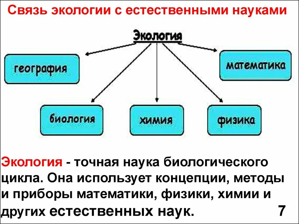 Науки связанные с информацией. Связь экологии с другими науками. Взаимосвязь экологии с другими науками. Связь экологии с другими науками схема. Связь наук с экологией.