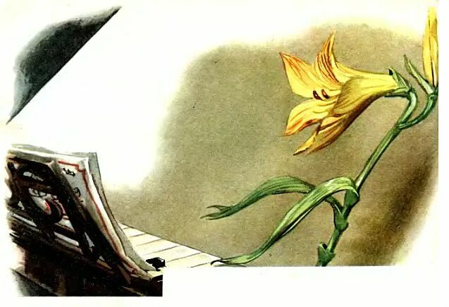 Цветок в сказках андерсена. Цветы маленькой иды андерсен. цветы маленькой иды ханс кристиан. сказки андерсена цветы иды. цветы маленькой иды иллюстрации андерсен.