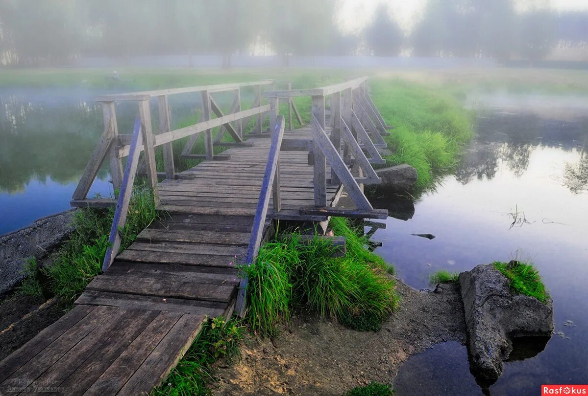 мостик иван кучин кучин. слушать песню мостики. фотосессия с виолончелью на природе. монрепо китайские мостики. деревянный мост через реку.