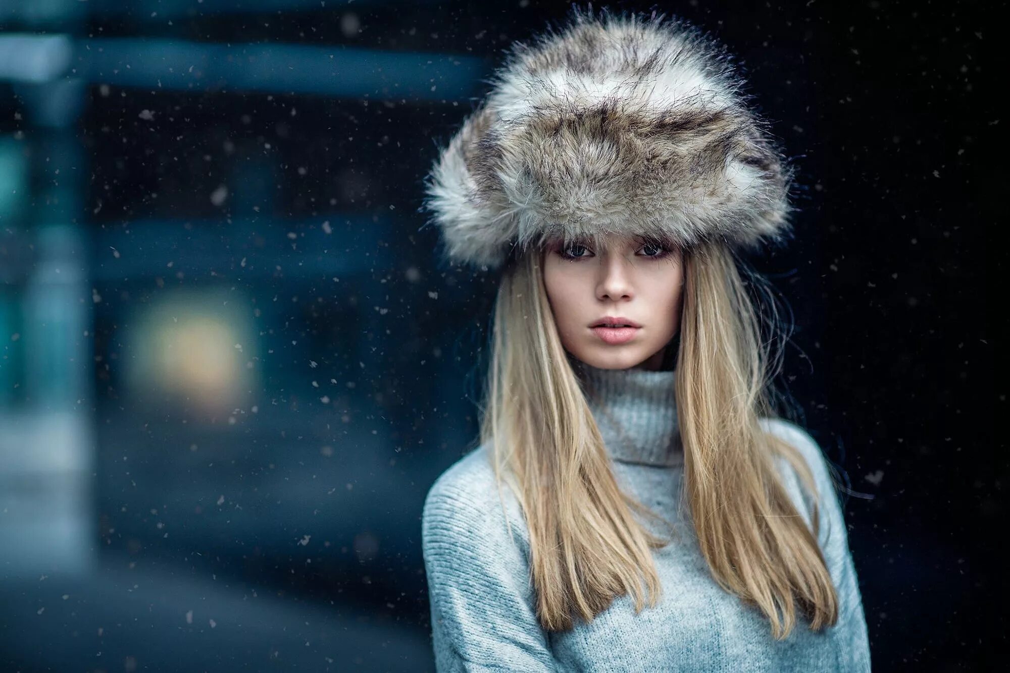 Snow model