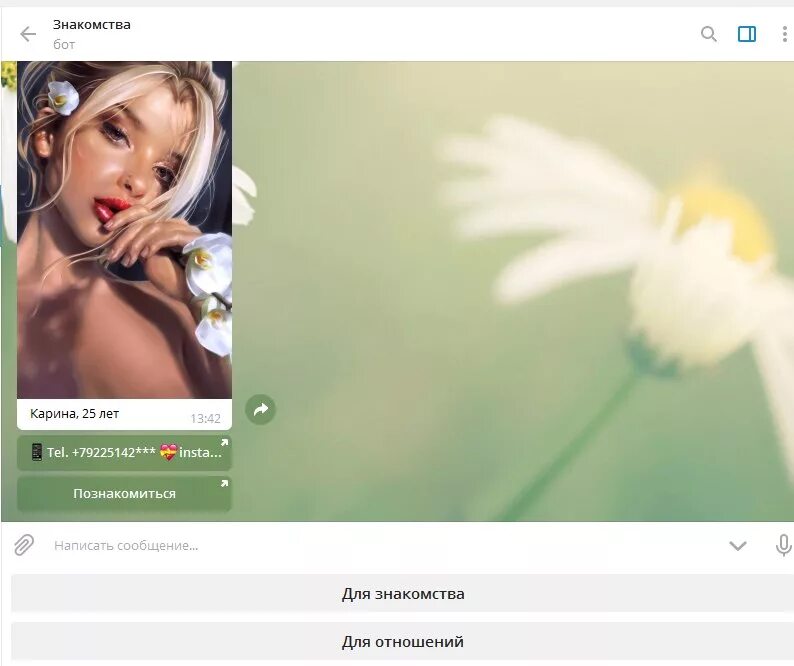 Чат знакомства телега. Знакомиться в телеграмме. Чат бот для встреч. Анкета девушки телеграмм. Бот девушка для общения в телеграмме.