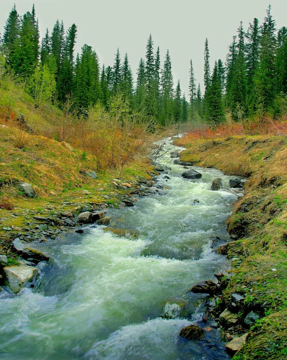 горный ручей в кашмире (1875). горный ручей в кашмире (1875). горный ручеек дагестанский. горный алтай горные ручьи. горный алтай горные ручьи.