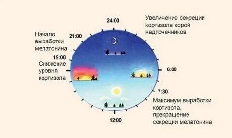 Во сколько начинается ночное время