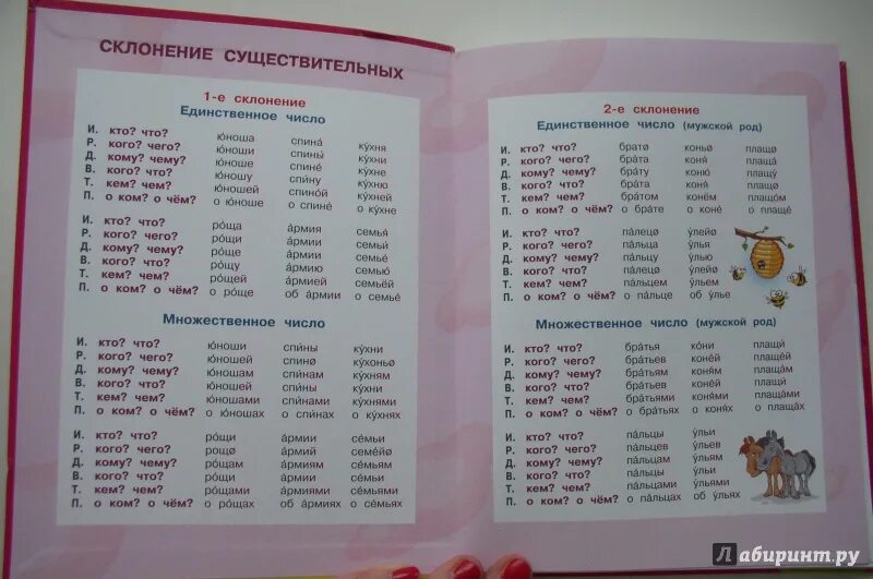 Словарные слова 1 класс учебник канакина. Словарик по русскому языку. Словарь 3 класс. Словарь 3 класс по русскому. Словарные слова 1 склонения.