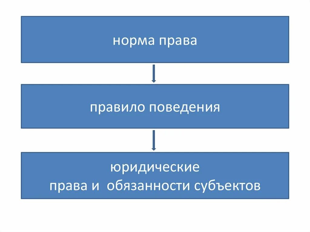 Юридический этикет субъекты. Ооо право норм