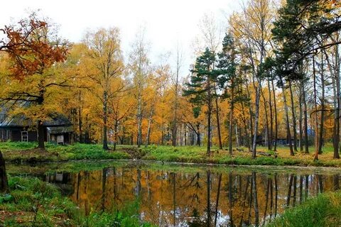 Поселок лесопарк