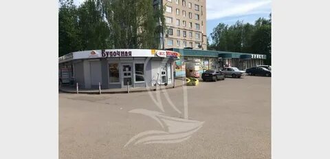 Пав 12