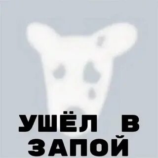 Ава бухать