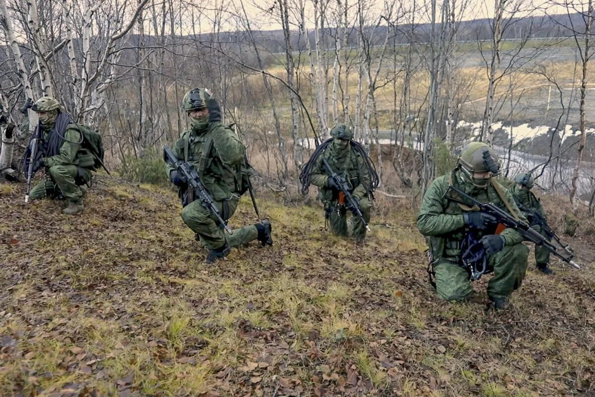 Сводки дозор. Разведрота морской пехоты Северного флота. Спецназ морской пехоты. Спецназ разведка. Спецназ войсковой разведки.