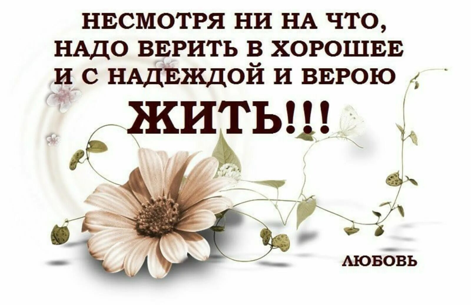 А в жизнь надо верить. Надо верить в лучшее. Верить в хорошее цитаты. Надо верить в лучшее цитаты. Верь в лучшее афоризмы.