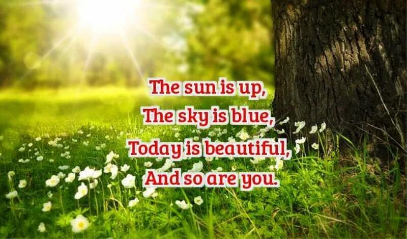 Best morning is today