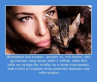 Она как кошка