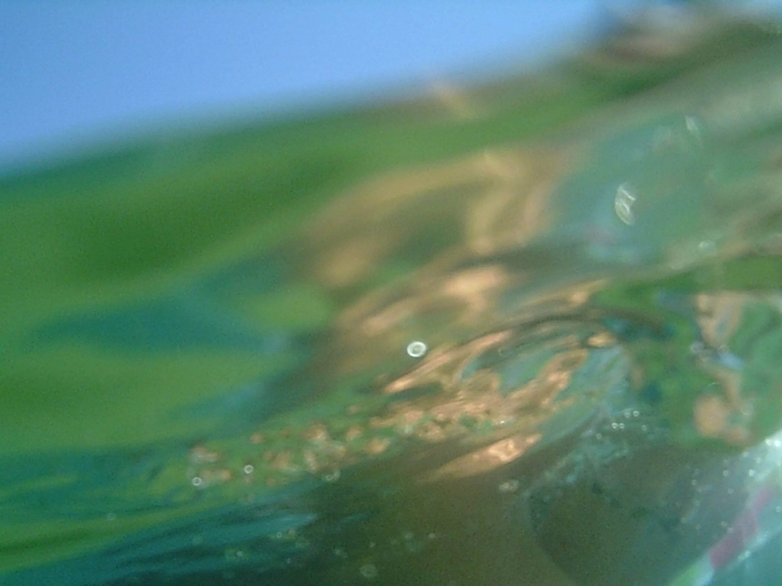 Поверхность воды. Бирюзовые водоросли в природе. Море поверхность воды. Поверхность воды фото.