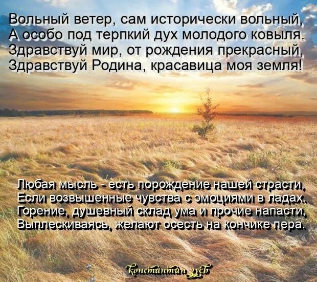 Душа вольная песня текст. Стих Здравствуй мир. Вольные ветры стих читать. Песня Вольный ветер слова. Слова песни Вольный ветер.