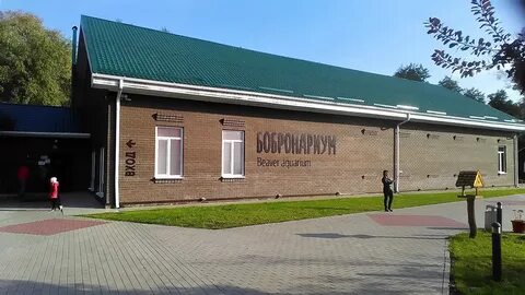 Городок в воронежском заповеднике
