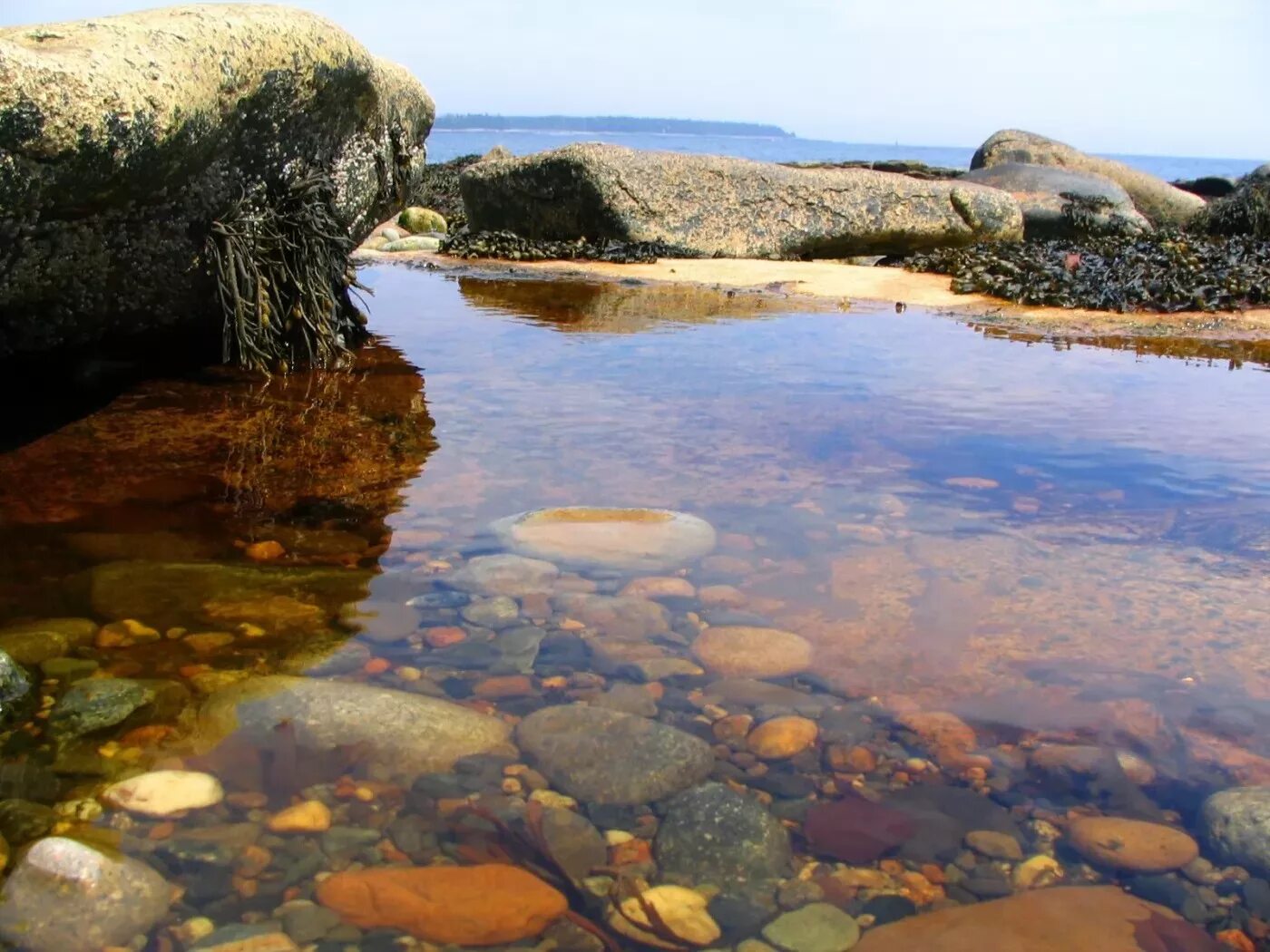 Вода в реке становится прозрачная. Прозрачная река. Камни в реке. Каменистый берег озера. Прозрачная река с камнями.