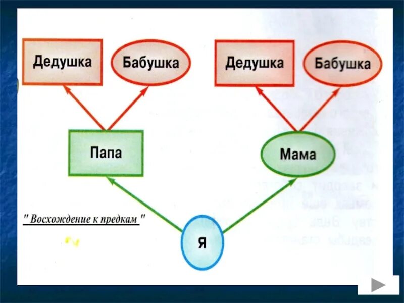 Окружающий мир 2 класс родословная учебник. Окружающий мир проект родословная. Родословная 2 класс окружающий мир. Проект моя родословная. Проект по окружающему миру моя родословная.