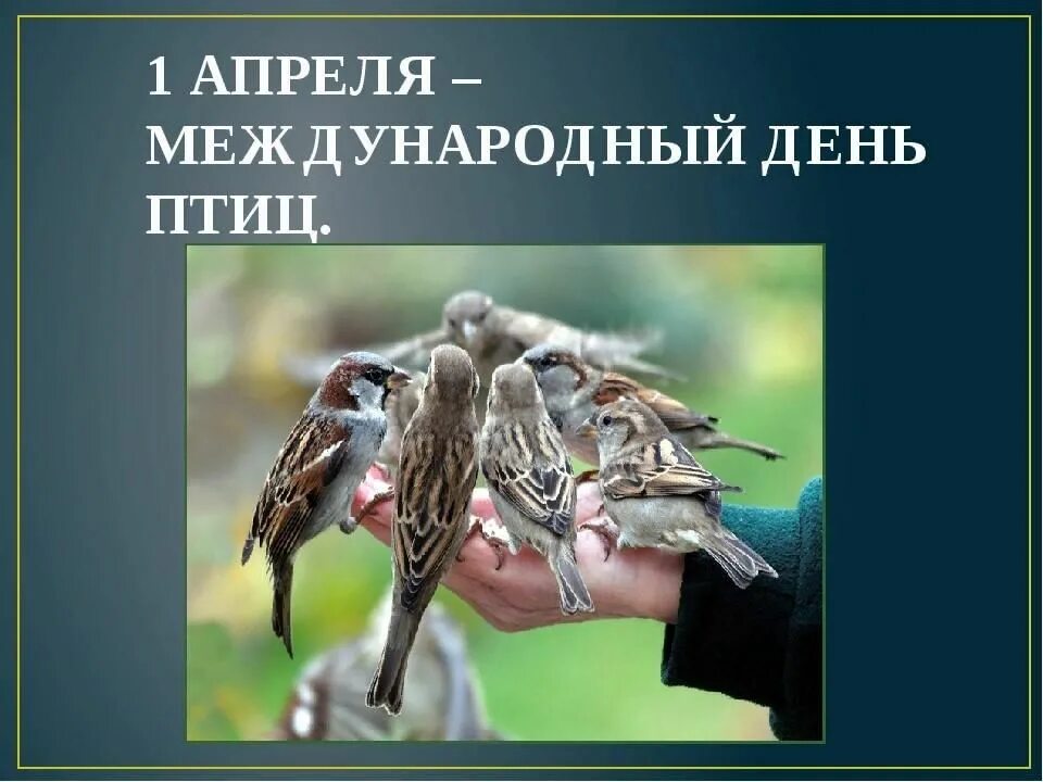 Час экологических знаний "Птичьи перезвоны" 2024, Тербунский район дата и мест