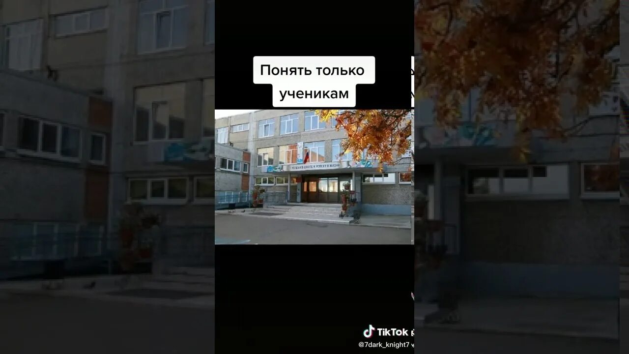 Наш девиз четыре слова чтоб сгорела. Девиз наш девиз 4 слова чтоб сгорела наша школа. чтоб сгорела наша школа. девиз если школа не сгорит. чтоб эта школа сгорела.