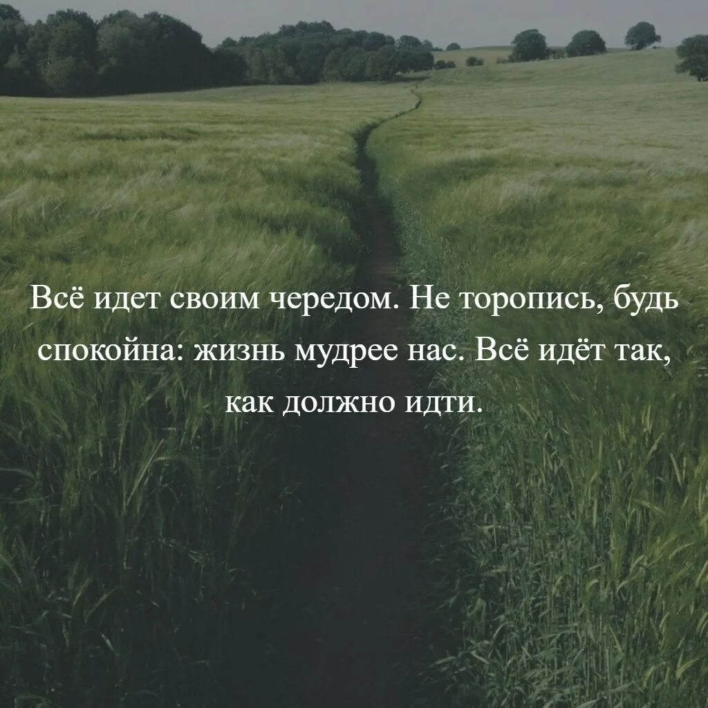 Пусть живет своей жизнью. Цитаты. Жизнь идёт своим чередом цитаты. Пусть все идет своим чередом. В жизни все идет своим чередом.