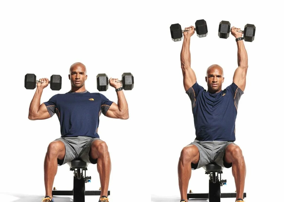 Db press