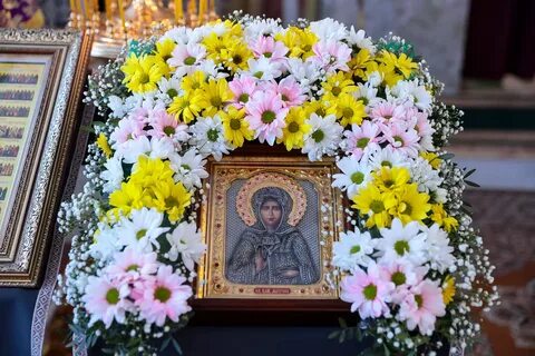 Матрона московская цветы