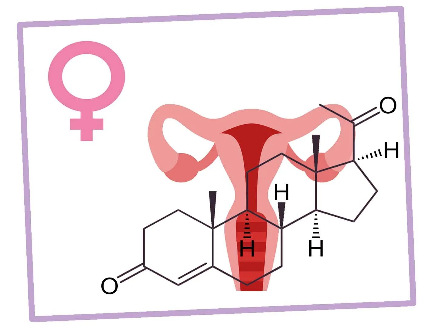 Женские гормоны. Женские половые гормоны прогестерон. Женский гормон эстроген. Женские гормоны картинки. Какой гормон у девушек