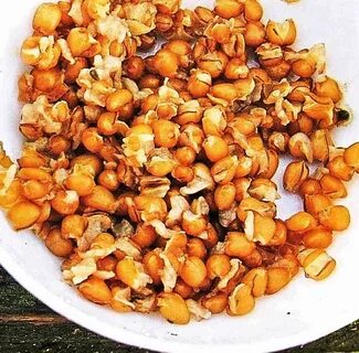 Пшеница для рыбалки