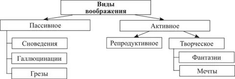 Выберите виды воображения