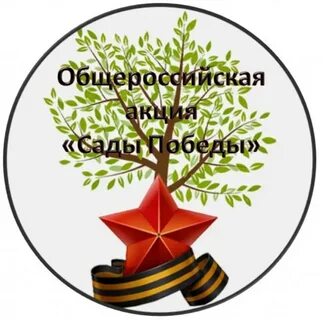 9 мая дерево