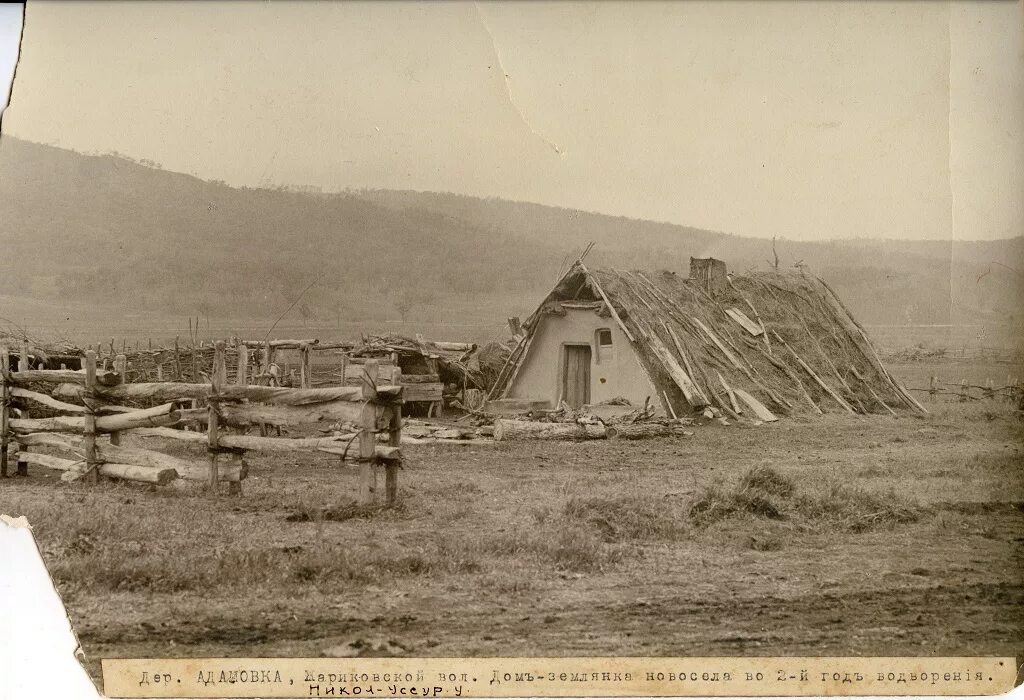 1907 переселенцы сибирь. Депортация корейцев в казахстан 1937. Первые поселенцы сибири. Суражский уезд черниговской губернии. Переселение в приморский край в 19 веке.