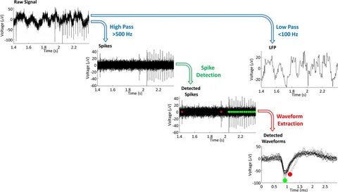 Signal timing