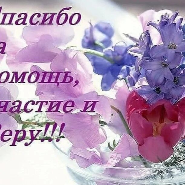 Спасибо людям за помощь. Спасибо за помощь. спасибо за поддержку. благодарим за помощь. благодарю за помощь и поддержку.
