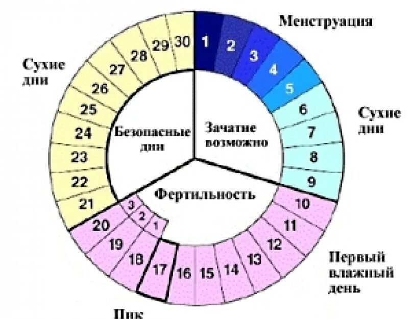 Как проверить фертильность