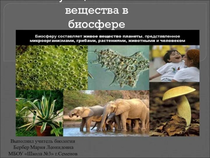 Роль живого вещества в биосфере. Функции вещества биосферы. Функции живого вещества в биосфере. Функции живого вещества. Живое вещество распределено в биосфере равномерно