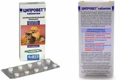Можно ли котятам давать антибиотики